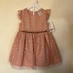 Carter’s Baby Girl 2 Piece Rose Gold Dress
